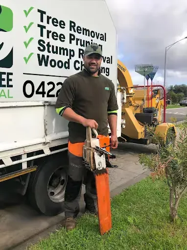 Api Mariner with a chainsaw beside the signed Aps Tree Removal truck