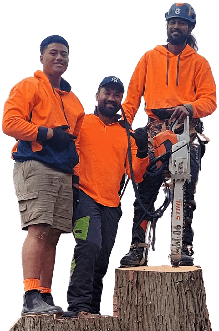 Api Mariner and the Aps Tree Removal crew