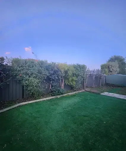 A clean Melbourne backyard with pruned trees along the fence