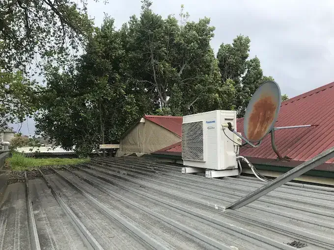 Overgrown branches over a roof before a site clear