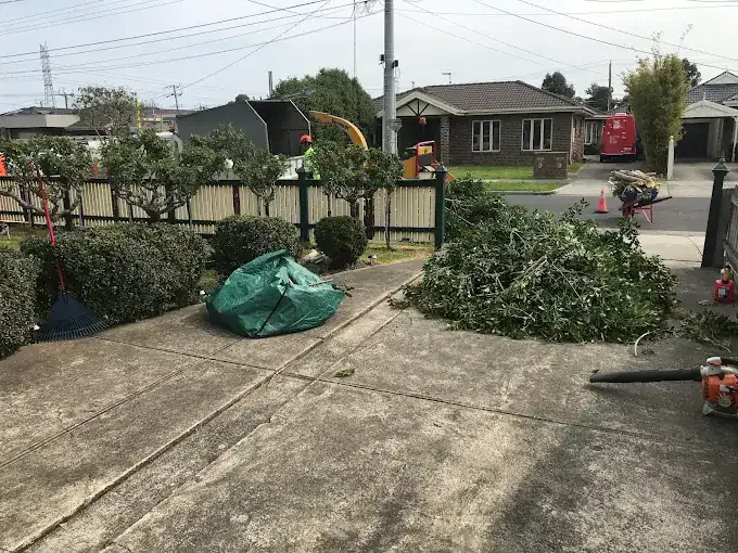 Cleared driveway with fresh wood chips