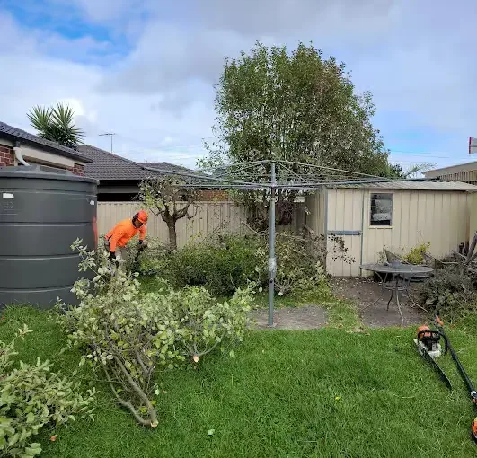 The Aps Tree Removal crew working in a Melbourne backyard