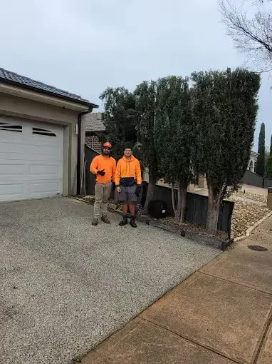 Crew clearing a hedge line along a driveway