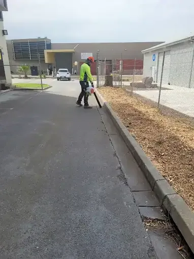 Crew cleaning the verge after a job