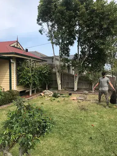 Front yard cleared and tidy after a removal