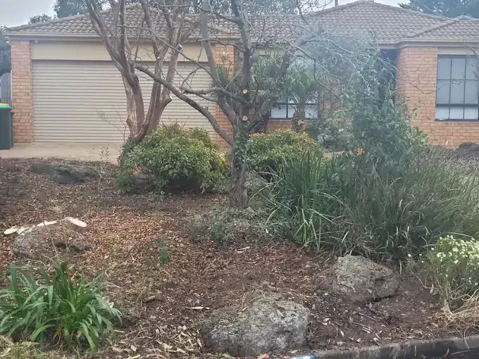 Garden bed and trees tidied after pruning