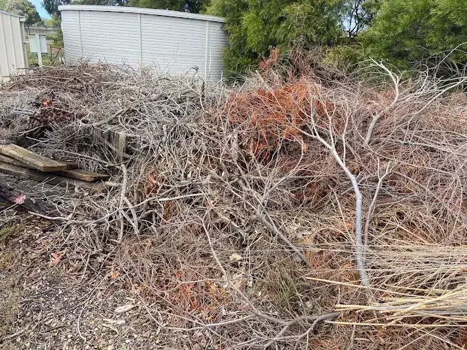A pile of green waste ready for collection