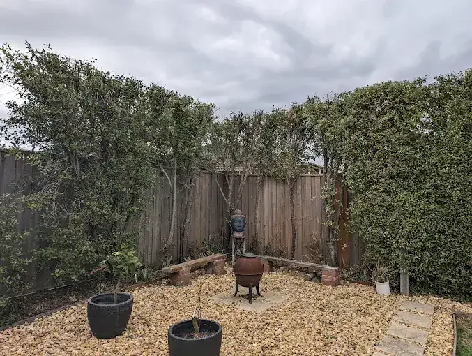 Courtyard hedge trimmed clean