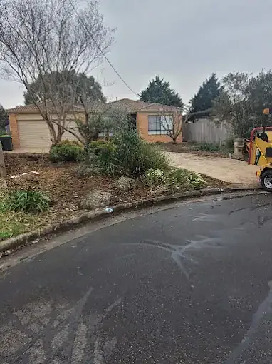A street-front block cleared by Aps Tree Removal