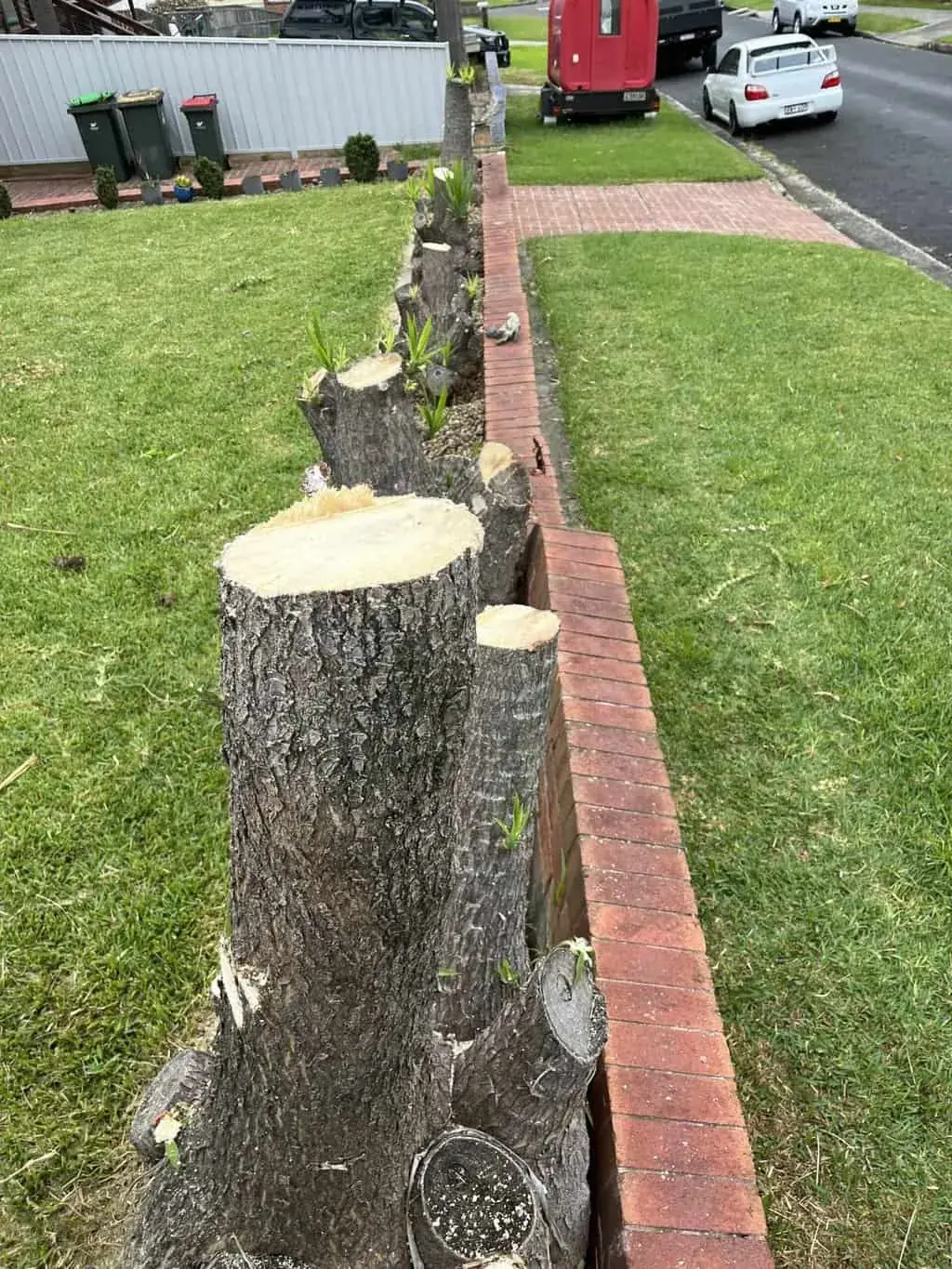 Stump beside a brick garden edge before grinding