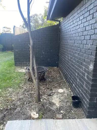 Stump grinding against a wall in a narrow space