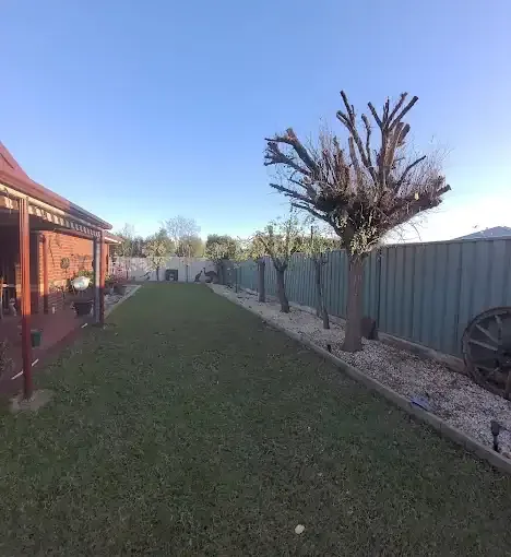 Tree removed down to the trunk in a suburban yard