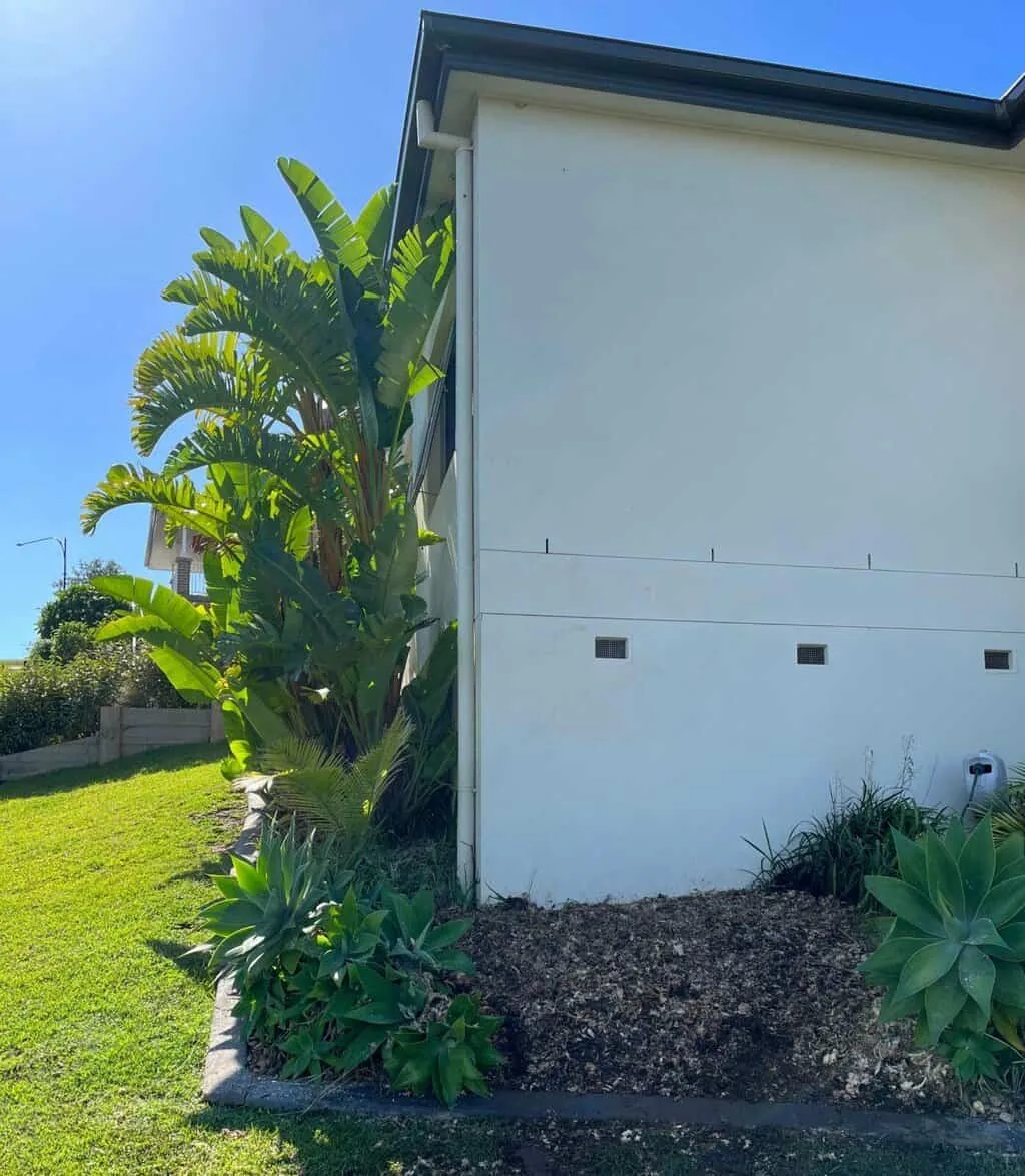 The same wall after the yucca was removed at the root