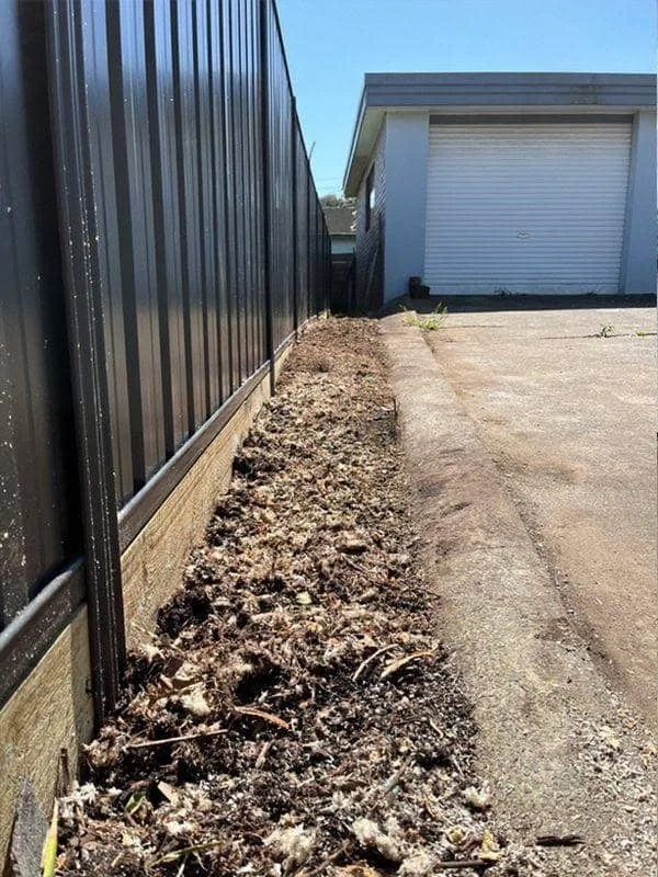 Side path cleared after yucca removal